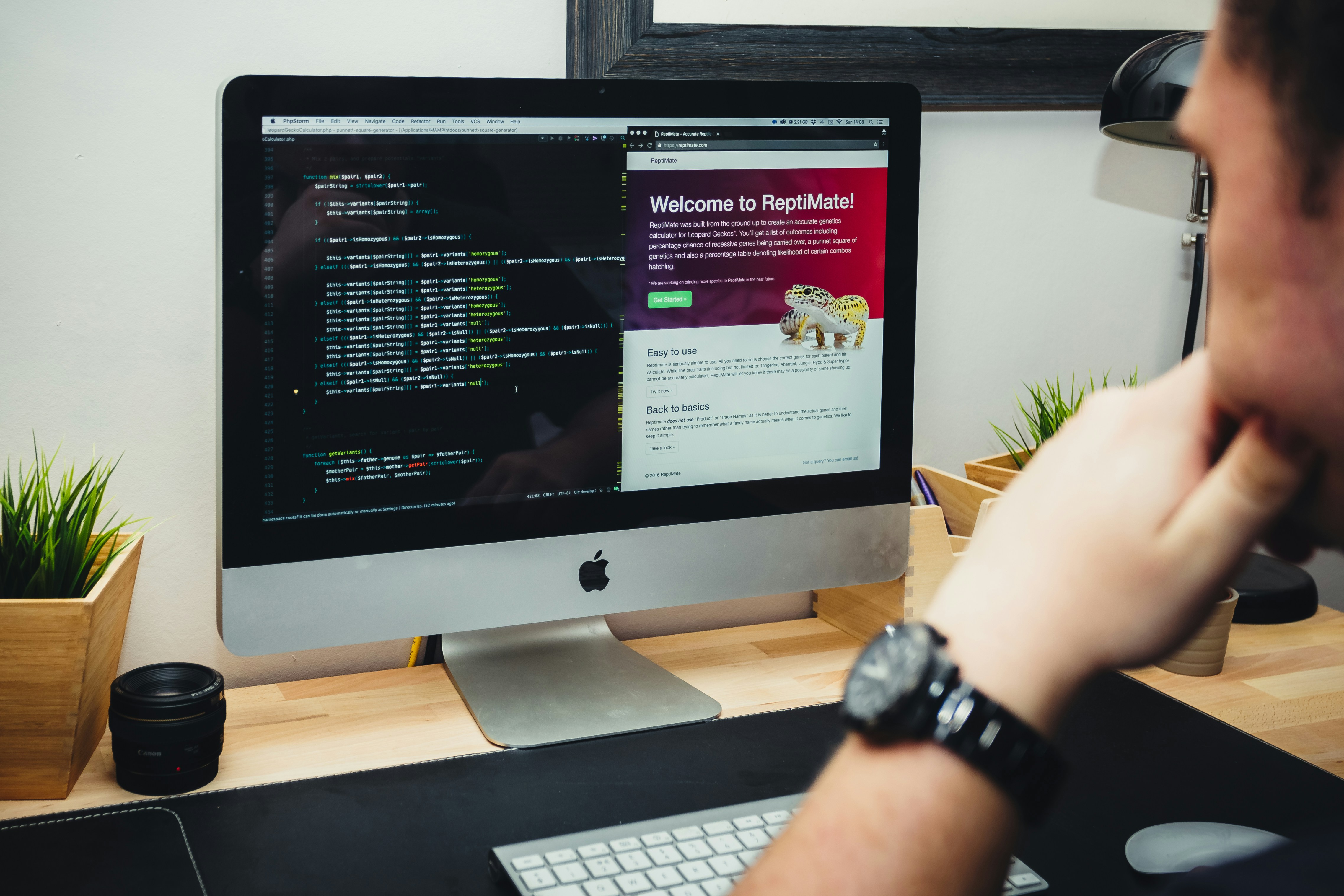 Best Web Development Company